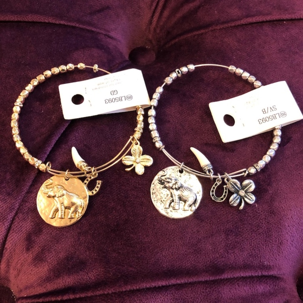 Two Lucky 🍀 Charm Bracelets - NWT!